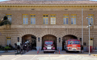 MUSEUM HOURS
